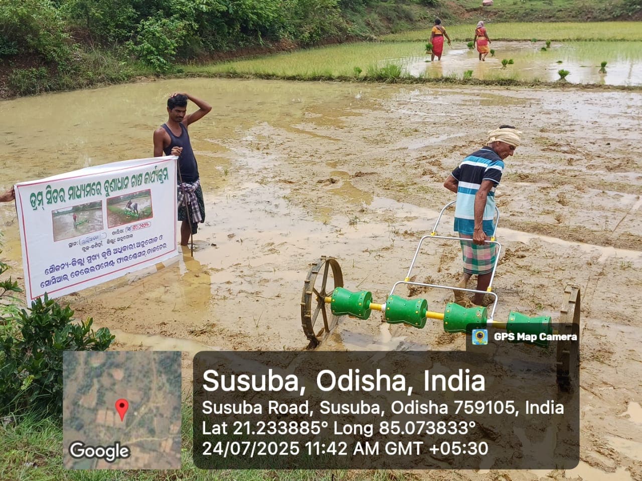 Drum seeder for mechanized Direct Seeded Rice (DSR)